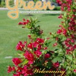 Welcoming Summer