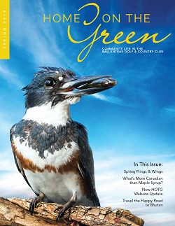 Click on the cover above for the latest issue