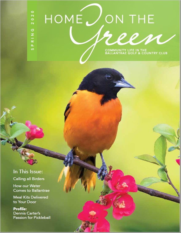 Calling All Birders