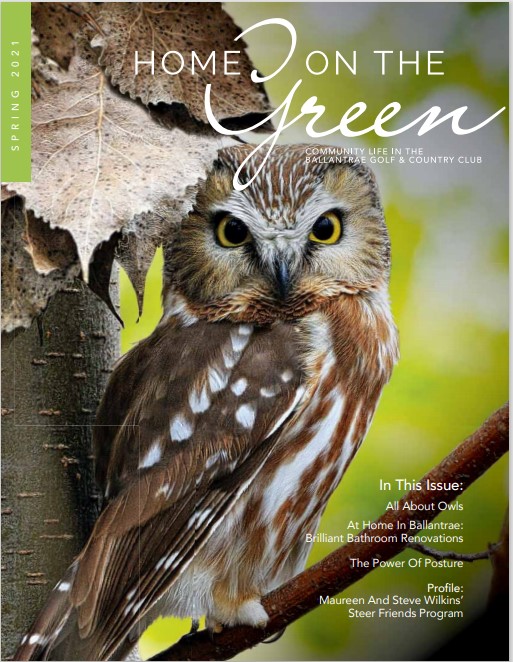 All About Owls