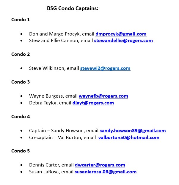 BSG Condo Captains BSG Condo Captains